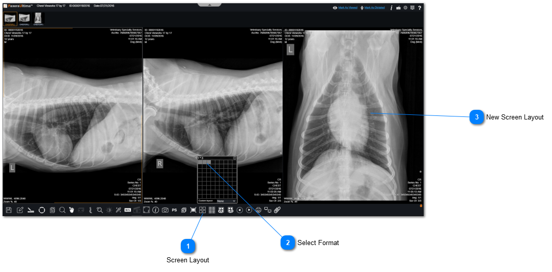 17.2.5.10. Screen Layout