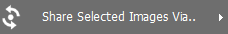 2. Click "Share Selected Images Via" 