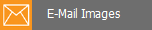 3. Click "E-mail Images"