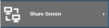 2. Click on the "Share Screen" button